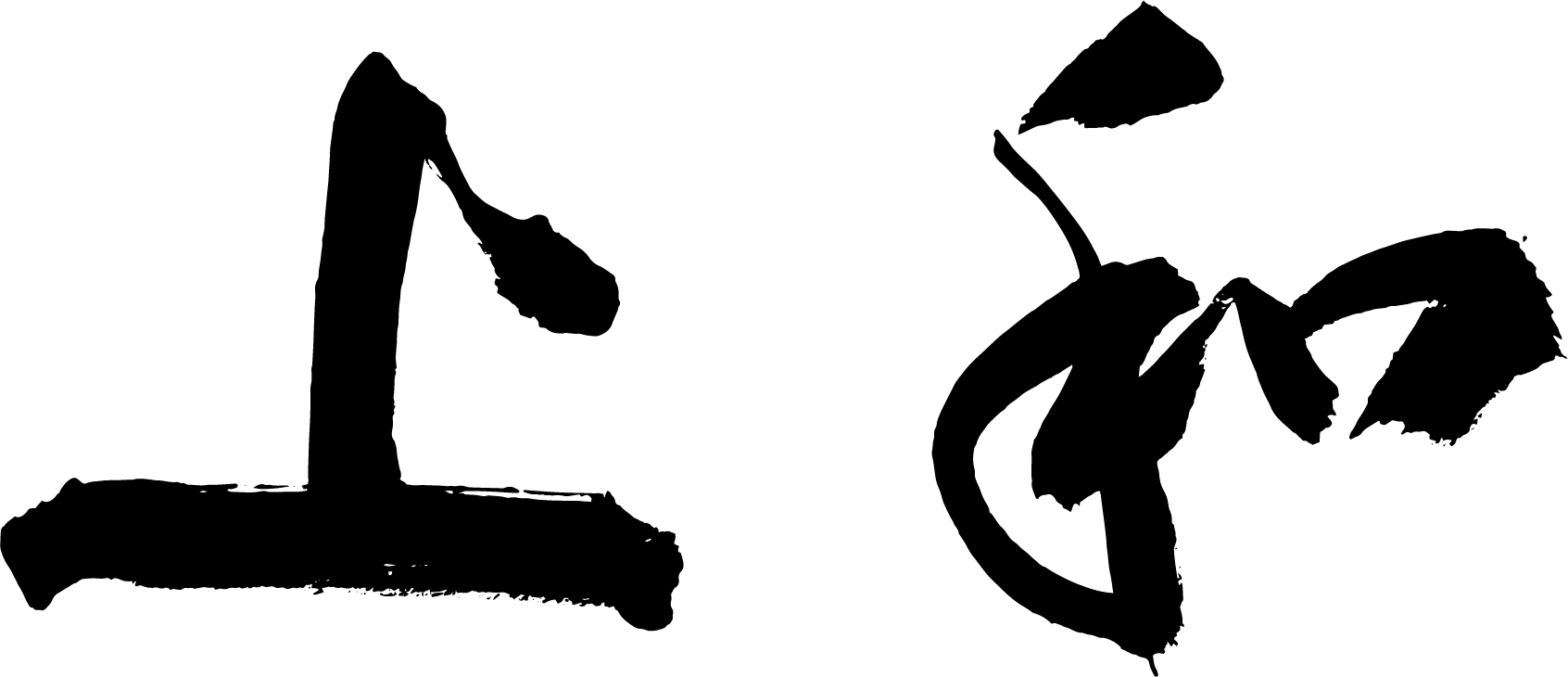 Z6尊龙科技